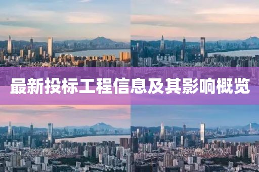 最新投标工程信息及其影响概览