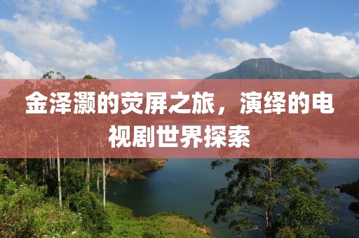金泽灏的荧屏之旅，演绎的电视剧世界探索