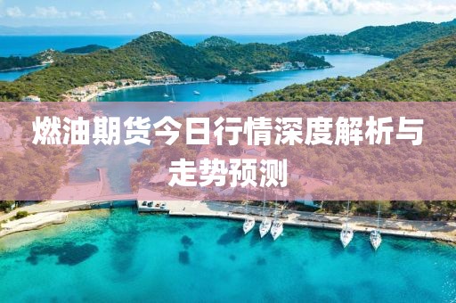 燃油期货今日行情深度解析与走势预测