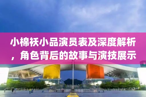 小棉袄小品演员表及深度解析，角色背后的故事与演技展示