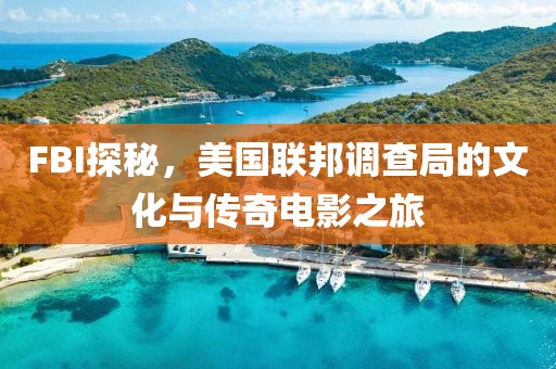 FBI探秘，美国联邦调查局的文化与传奇电影之旅