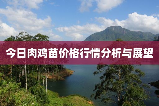 今日肉鸡苗价格行情分析与展望