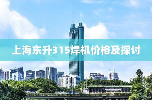 上海东升315焊机价格及探讨