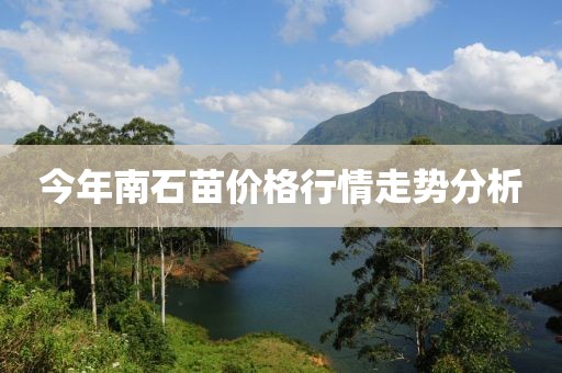 今年南石苗价格行情走势分析