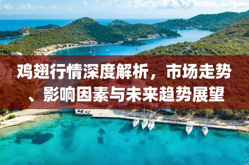 鸡翅行情深度解析，市场走势、影响因素与未来趋势展望