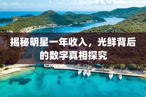 揭秘明星一年收入，光鲜背后的数字真相探究