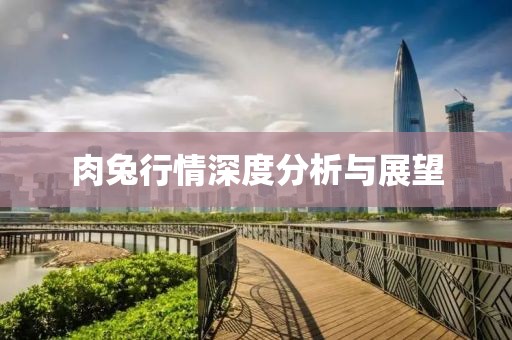 浅妖晴 第17页