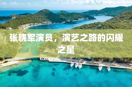 张晓军演员，演艺之路的闪耀之星