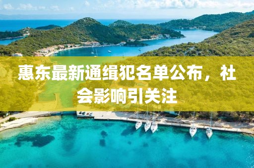 惠东最新通缉犯名单公布，社会影响引关注
