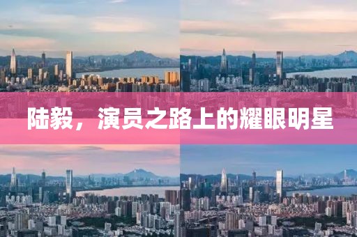 回忆辉煌 第17页
