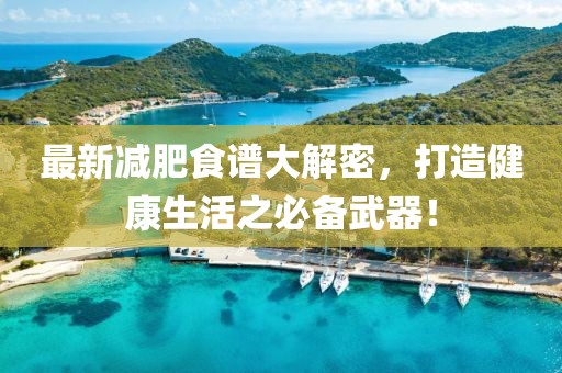 最新减肥食谱大解密，打造健康生活之必备武器！