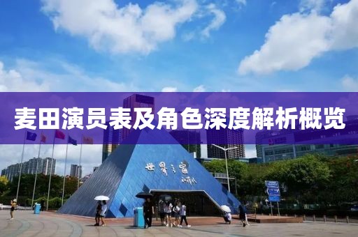 麦田演员表及角色深度解析概览
