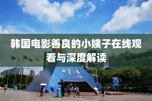 韩国电影善良的小姨子在线观看与深度解读