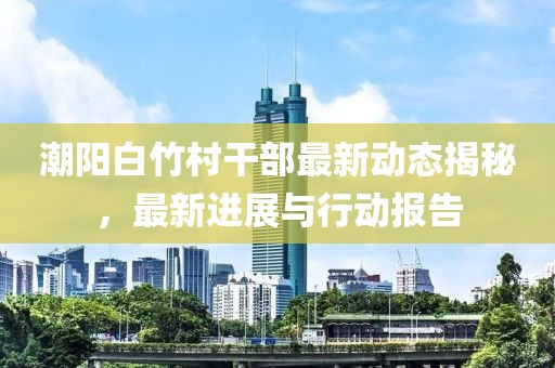 潮阳白竹村干部最新动态揭秘，最新进展与行动报告
