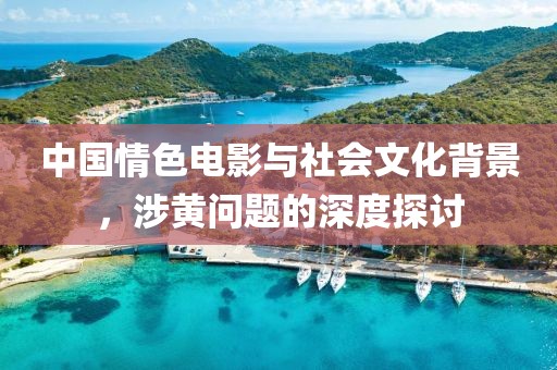 中国情色电影与社会文化背景，涉黄问题的深度探讨