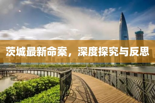 茨城最新命案，深度探究与反思