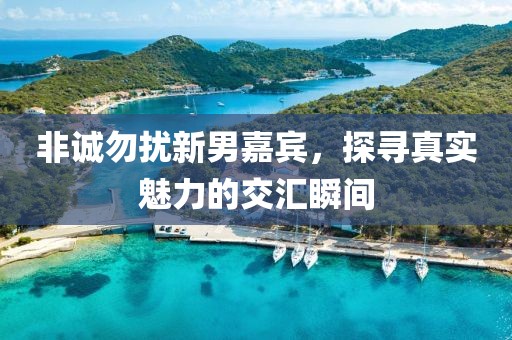 非诚勿扰新男嘉宾，探寻真实魅力的交汇瞬间