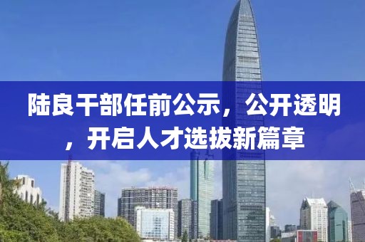 陆良干部任前公示，公开透明，开启人才选拔新篇章