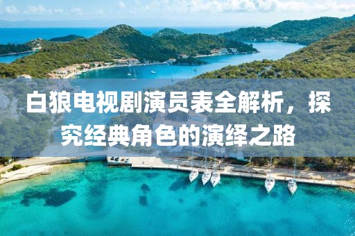 白狼电视剧演员表全解析，探究经典角色的演绎之路