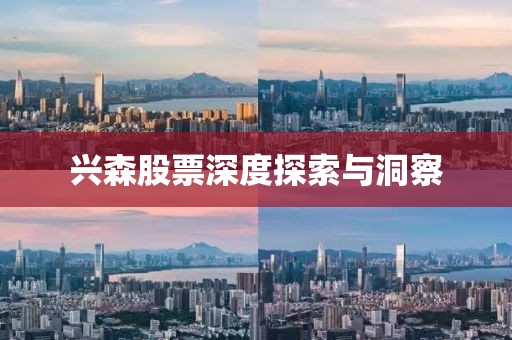 兴森股票深度探索与洞察
