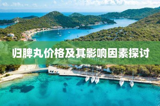 归脾丸价格及其影响因素探讨