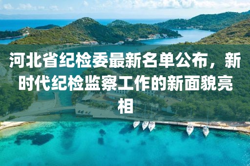 河北省纪检委最新名单公布，新时代纪检监察工作的新面貌亮相