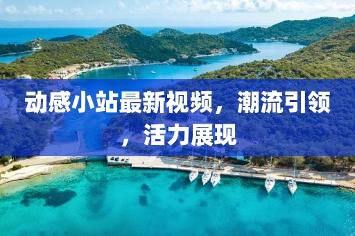 动感小站最新视频，潮流引领，活力展现