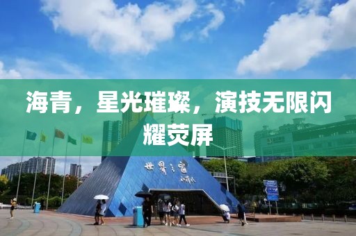 海青，星光璀璨，演技无限闪耀荧屏