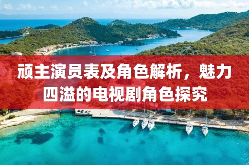 顽主演员表及角色解析，魅力四溢的电视剧角色探究