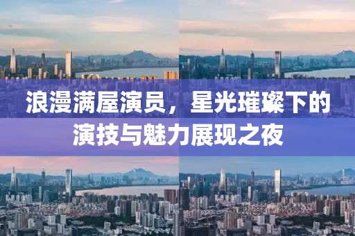 浪漫满屋演员，星光璀璨下的演技与魅力展现之夜