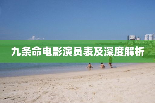 九条命电影演员表及深度解析