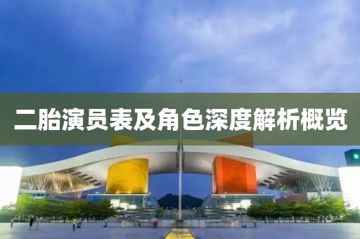 二胎演员表及角色深度解析概览
