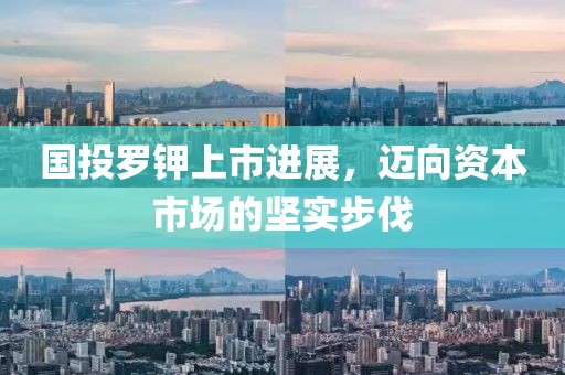 国投罗钾上市进展，迈向资本市场的坚实步伐
