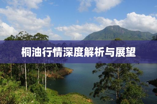 桐油行情深度解析与展望