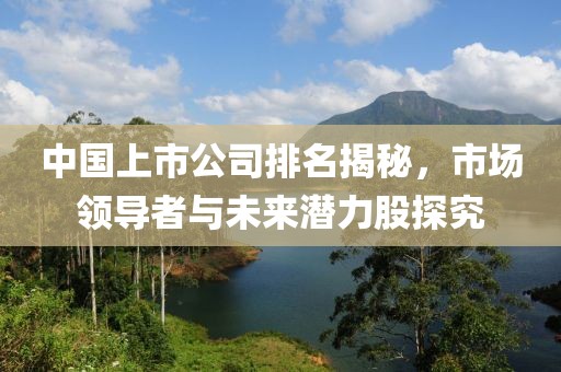 中国上市公司排名揭秘，市场领导者与未来潜力股探究