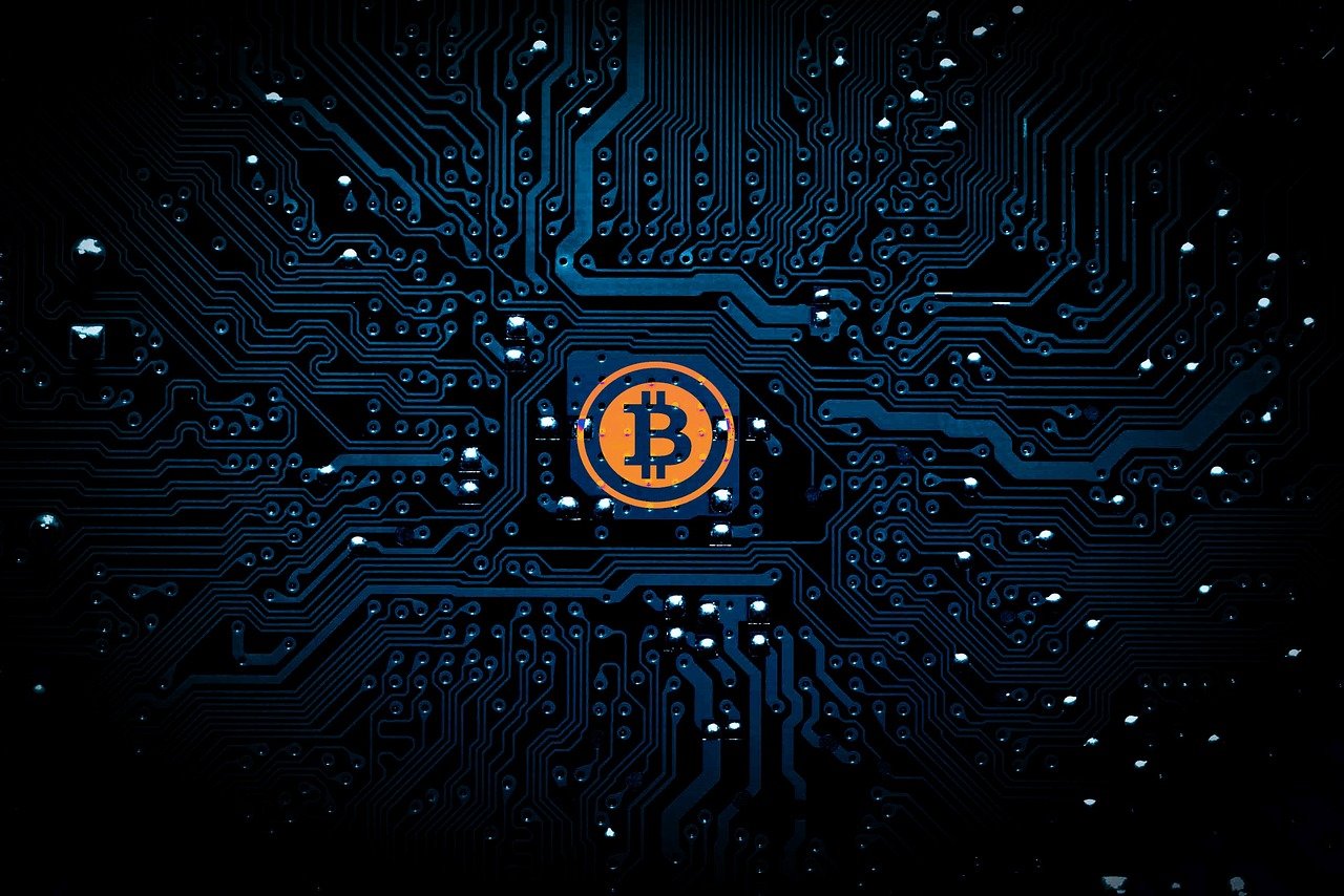 动漫笠，虚拟世界与现实生活的魅力交融