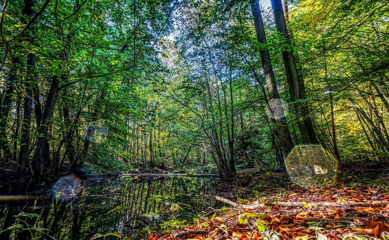 溧阳并入南京，区域协同发展的最新动态与崭新篇章