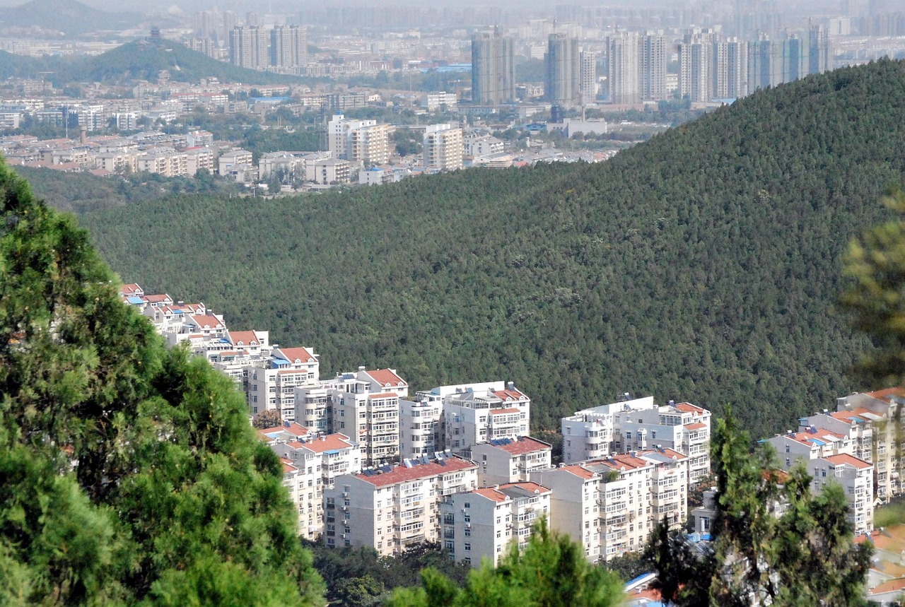 德州运河鑫城最新住宅价格概览及趋势分析
