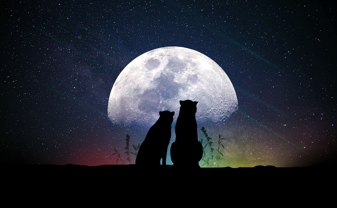 深空彼岸章节更新，探索未知宇宙，揭开宇宙奥秘的序幕