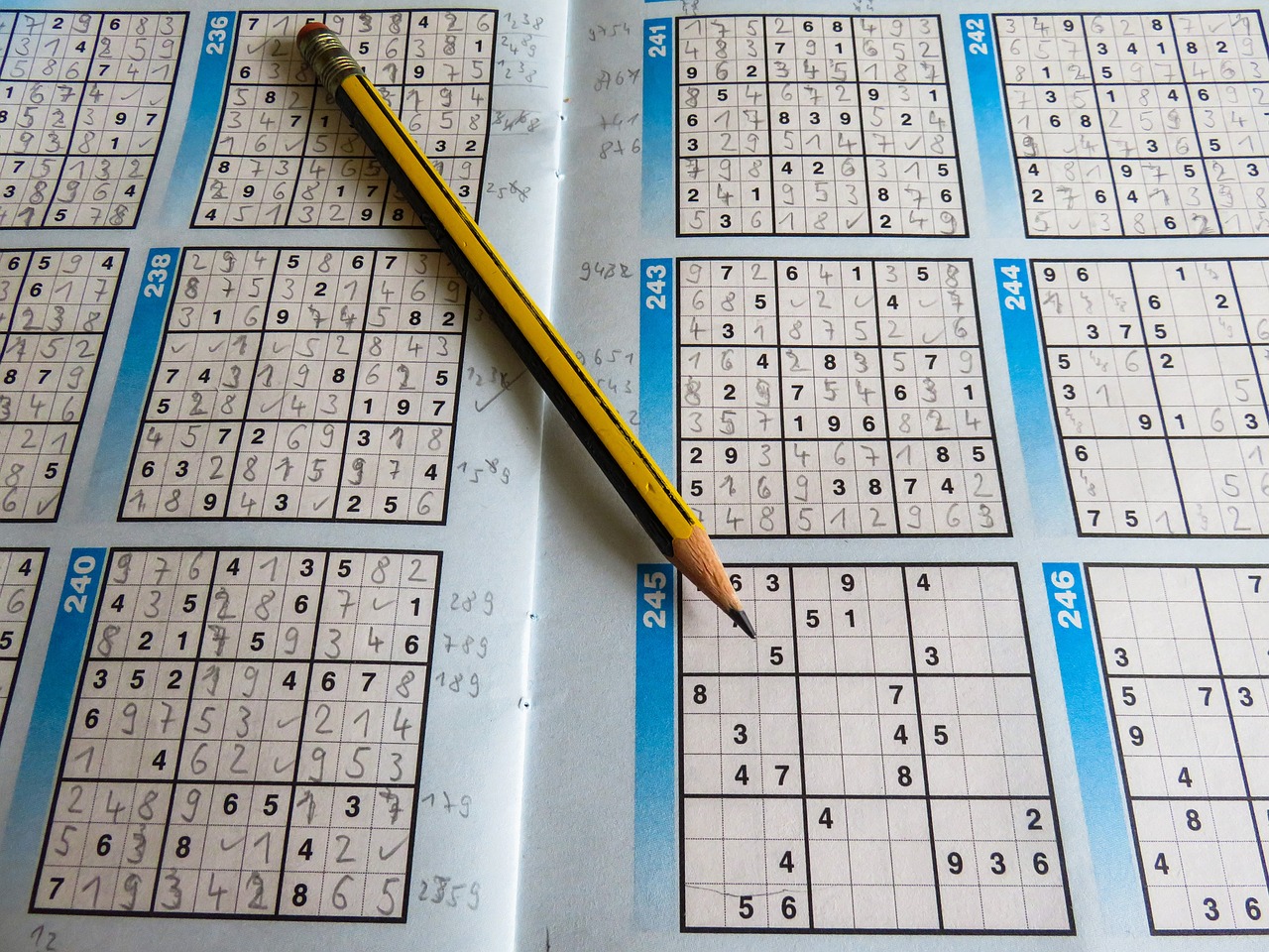 学校比赛作文，才华盛宴的展现