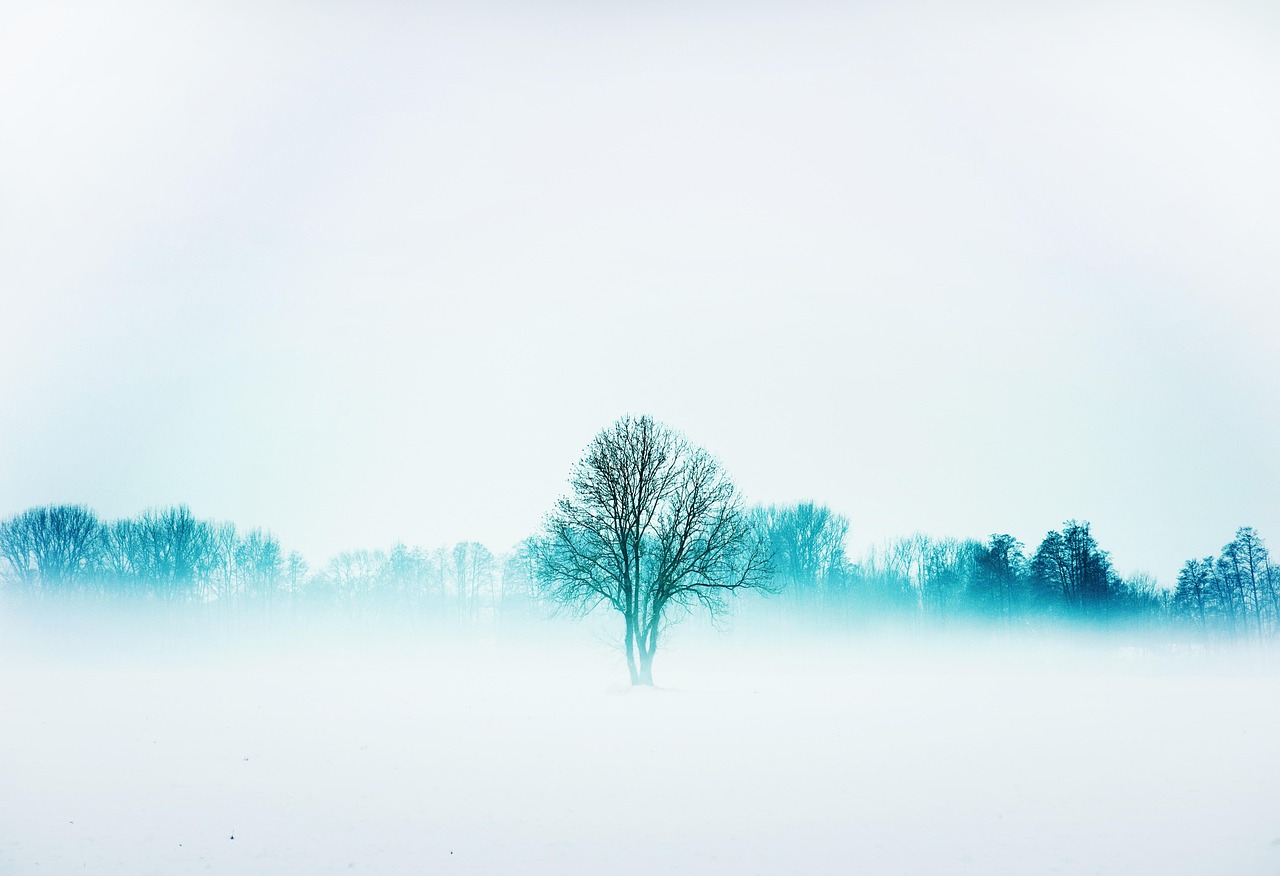 冬日的诗意与浪漫，最新雪花飘舞的美景