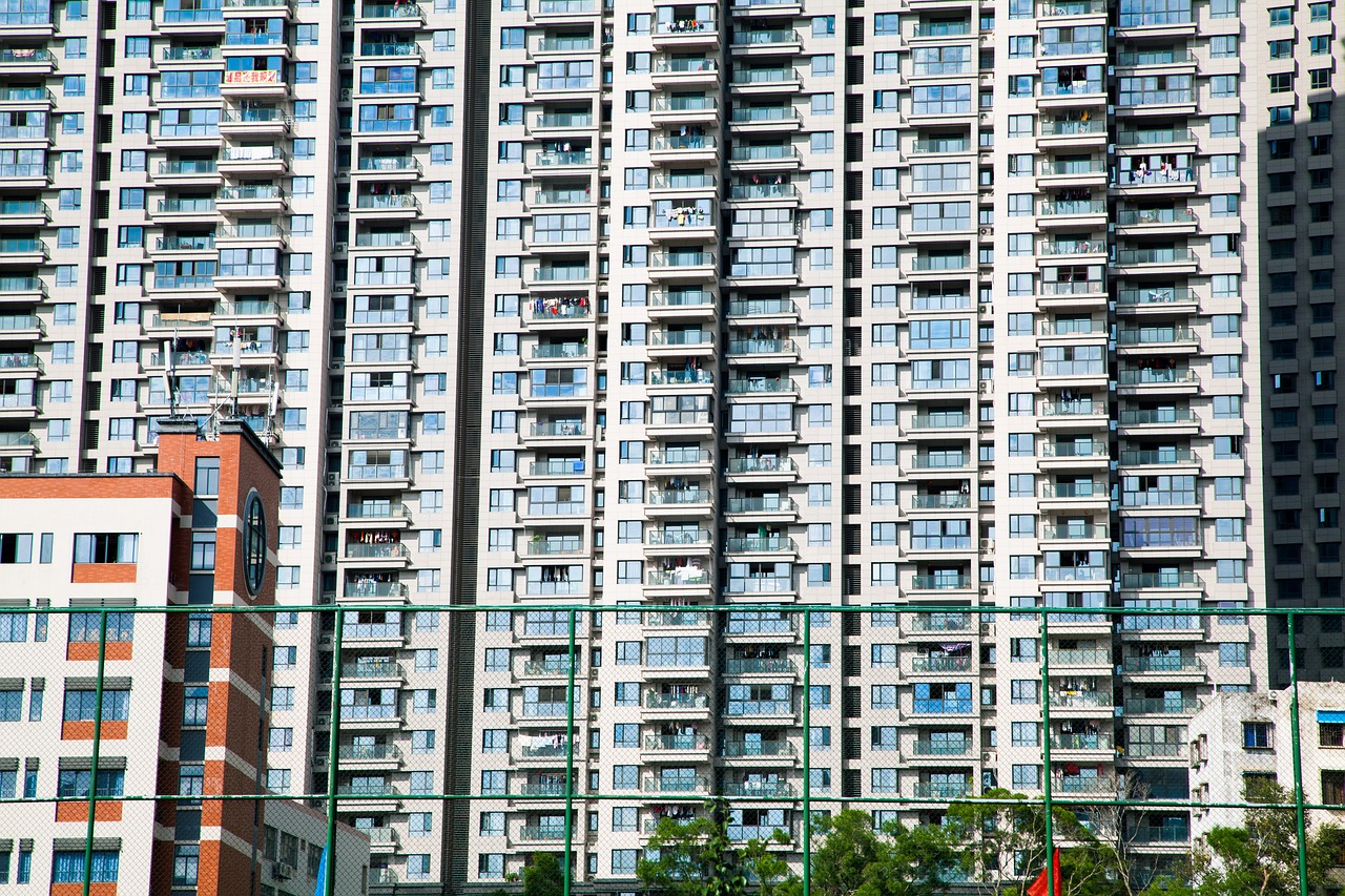 许鄄子平改楼最新动态，深度资讯与前瞻分析