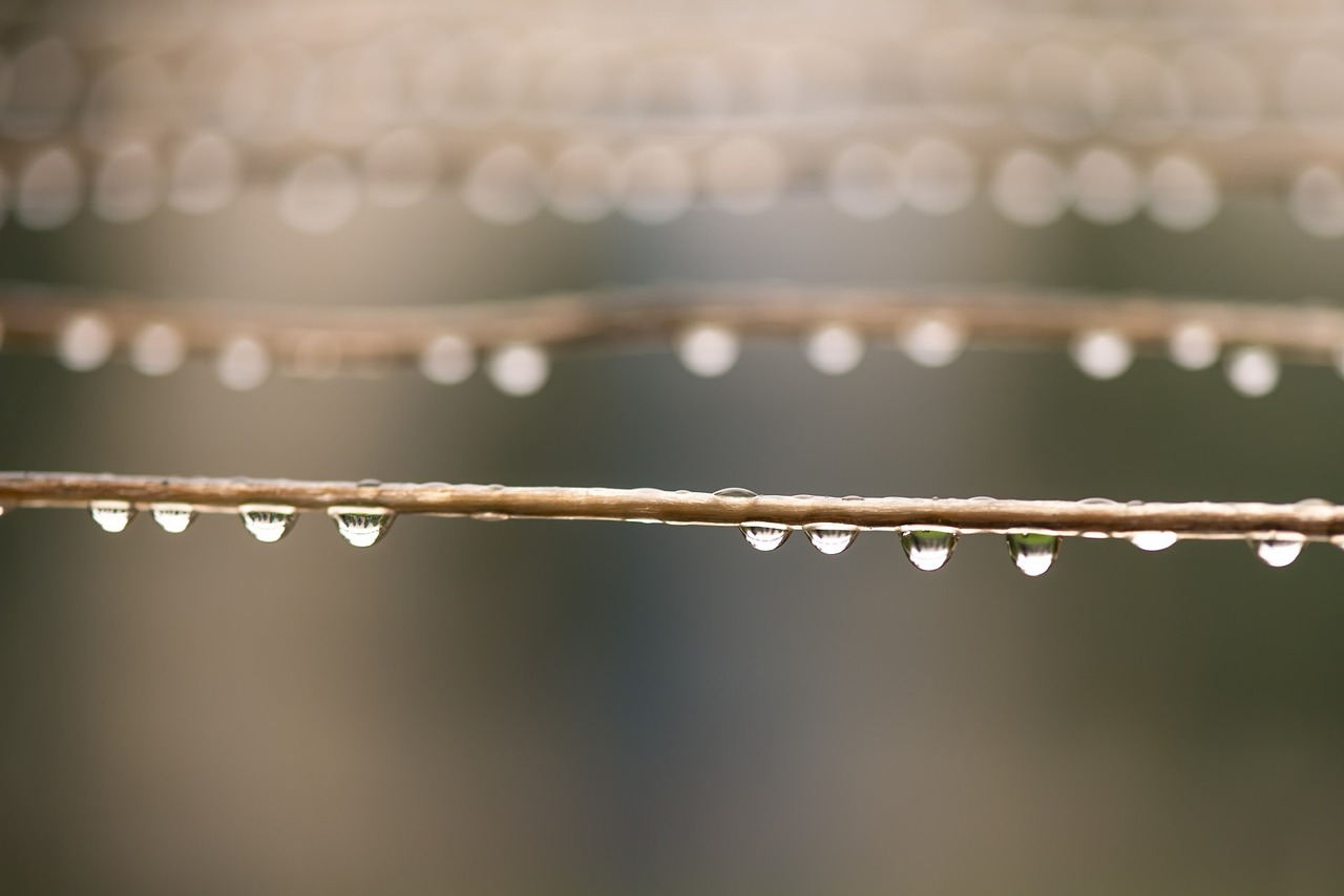 暴雨最新天气预报分析与影响解读
