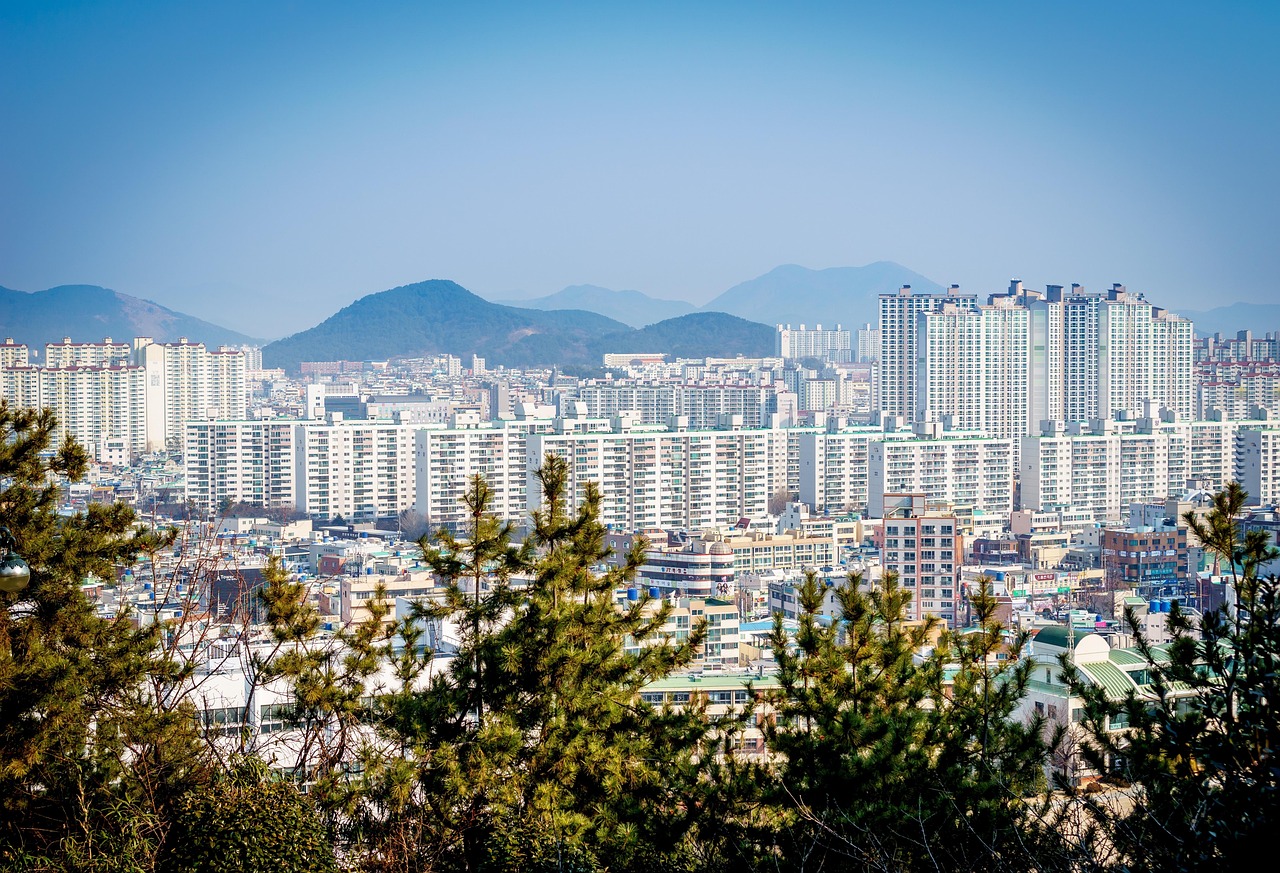 西彭规划图最新发布，塑造未来城市新面貌的蓝图揭晓