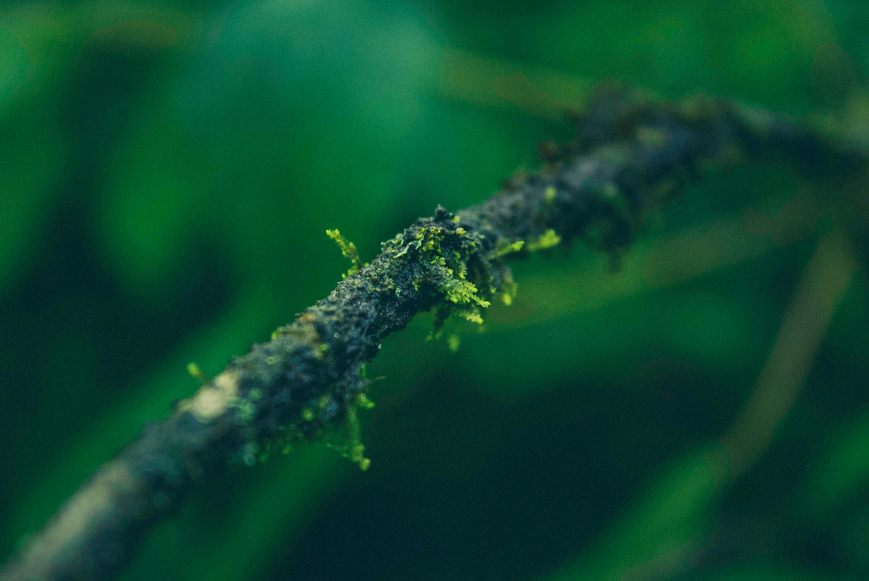 最新鳝钩技术揭秘与应用探索