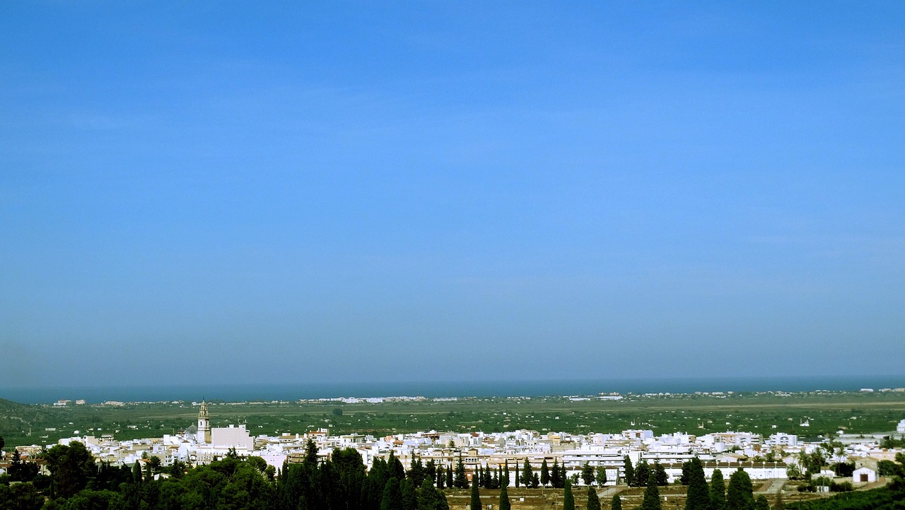 胶粒市场最新动态概览