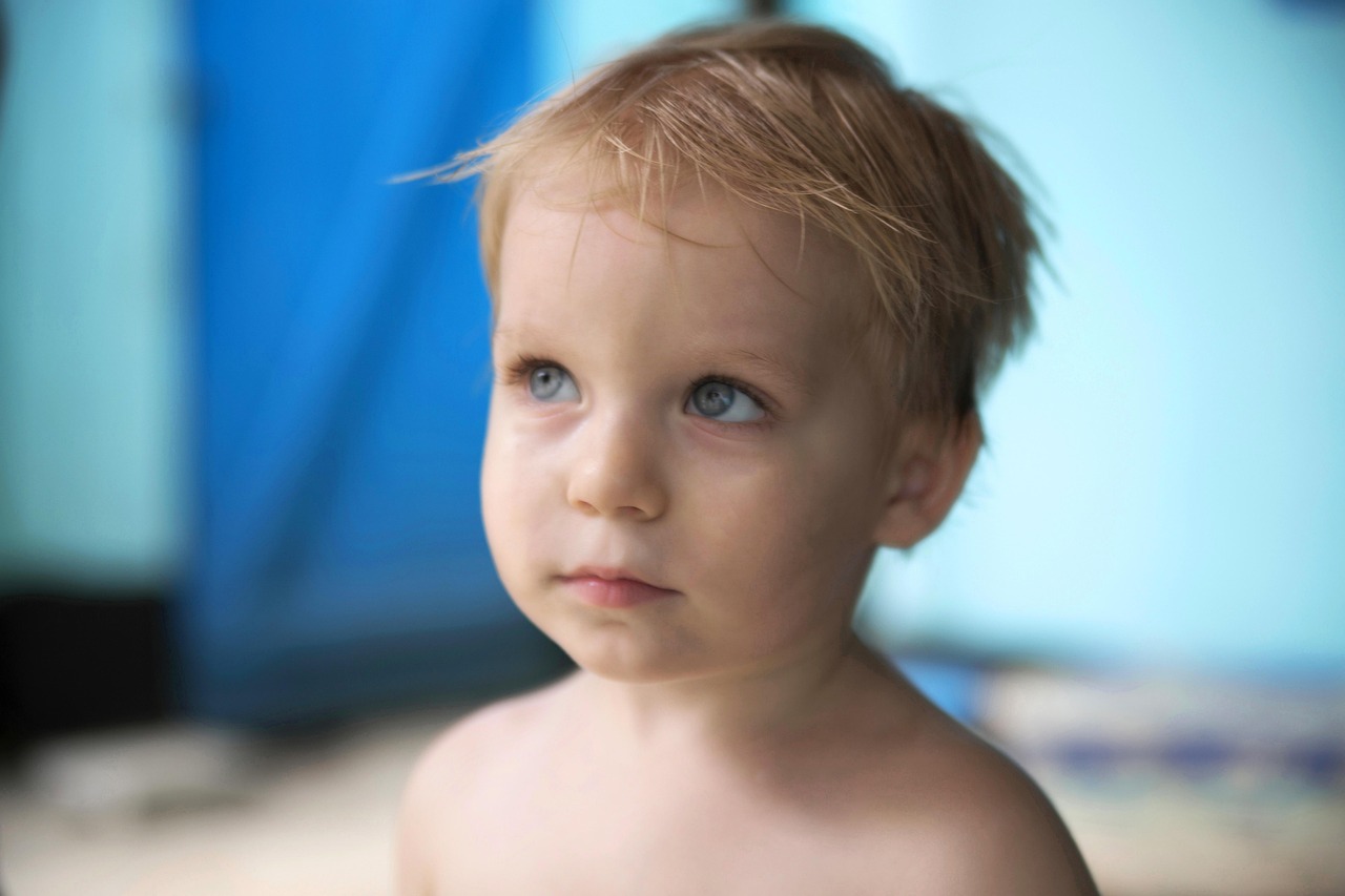 幼儿园故事比赛视频，孩子们的心灵之窗展现风采