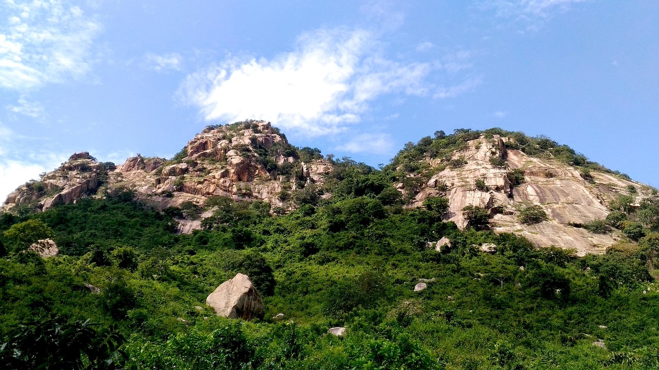 凤凰山地车价格详解及图片介绍