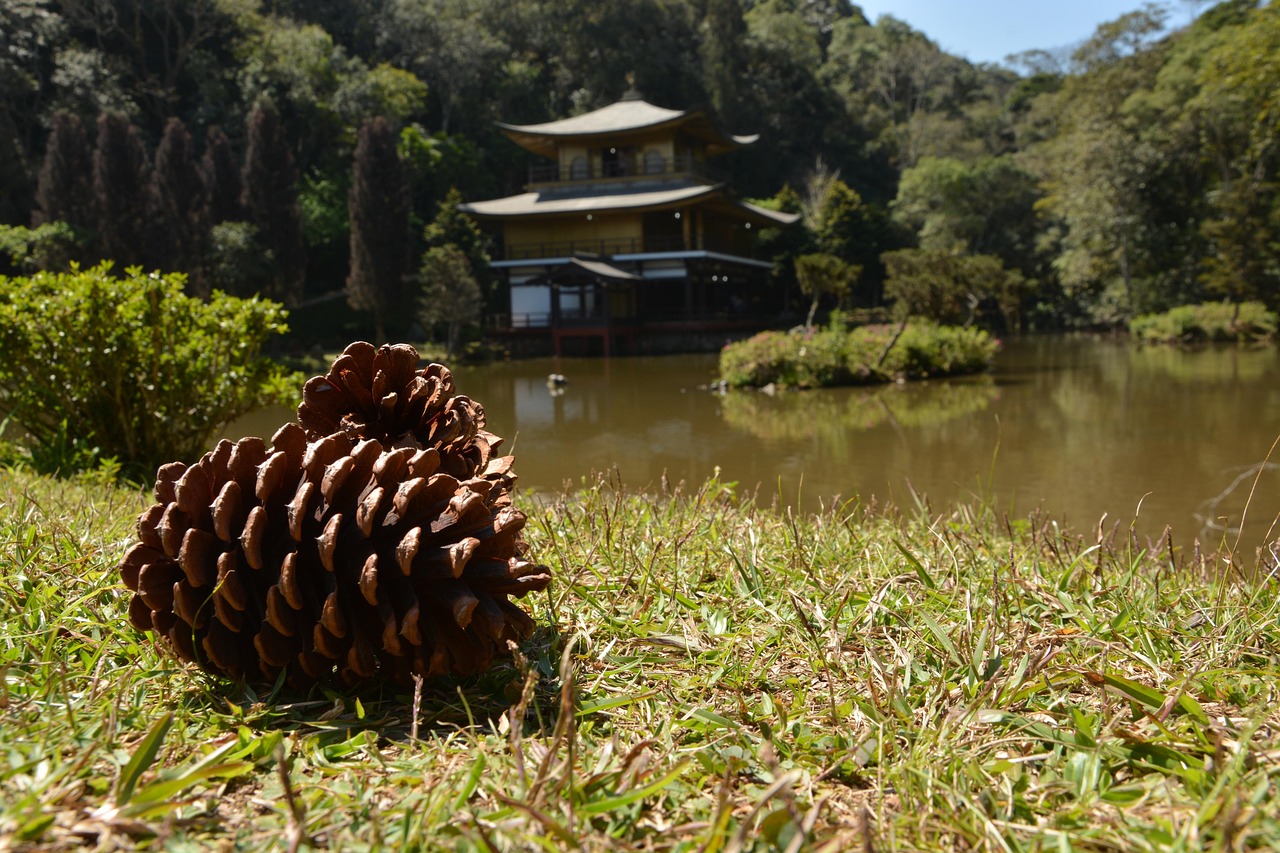 盘山海云寺最新动态更新
