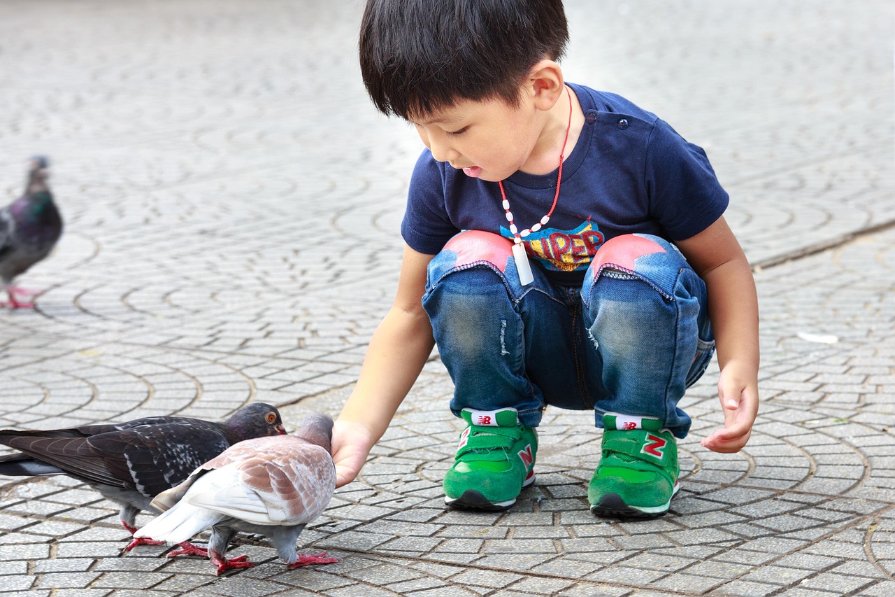 最新幼儿趣事分享，孩子们的世界，欢乐与惊喜无穷无尽
